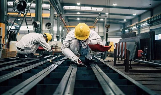 Yenişehir Fare İlaçlama